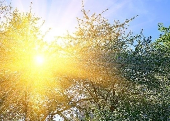 Днес в по голямата част от страната ще преобладава слънчево