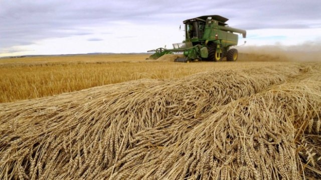 Земеделските министри на ЕС ще се съберат днес в Брюксел