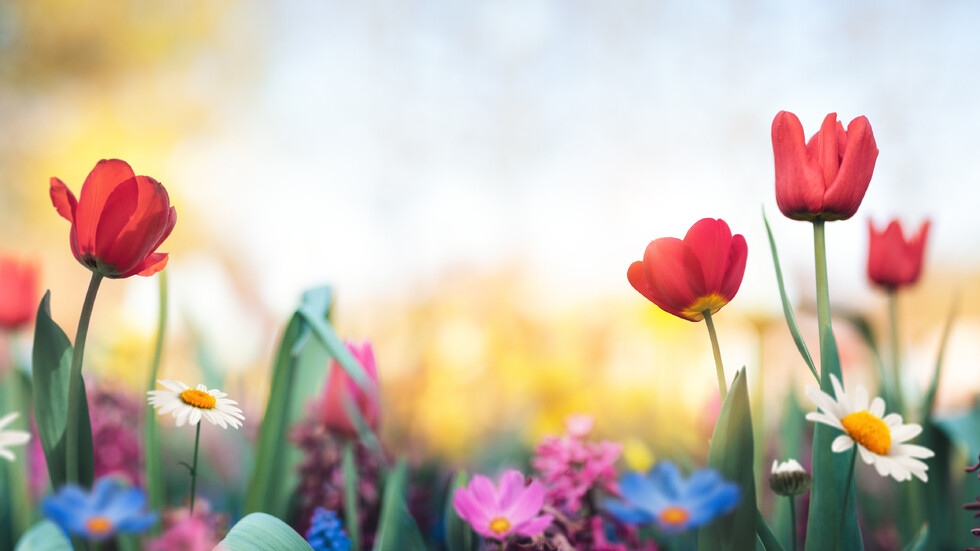 Днес ще бъде слънчево с разкъсана висока облачност Това съобщават