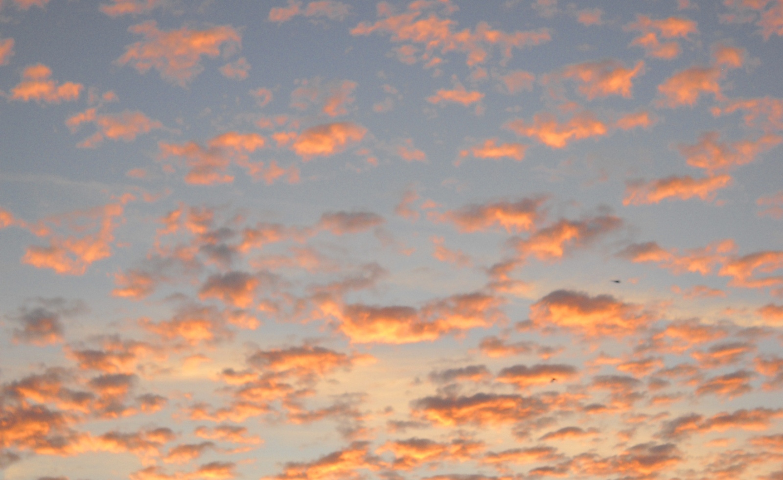 Над България ще има пренос на сахарски прах в понеделник