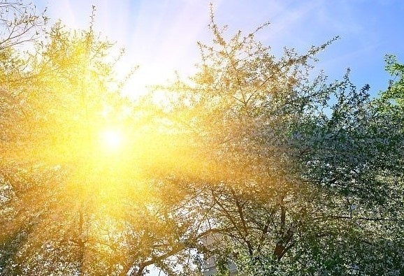 Днес ще бъде предимно слънчево преди обяд на отделни места