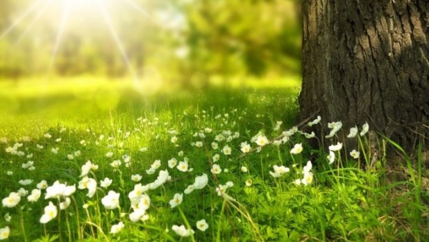 Днес отново ще бъде слънчево и топло Ще духа до