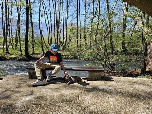 От сряда до петък слабо ще се захлади  в планините ще вали пролетен сняг Задават се