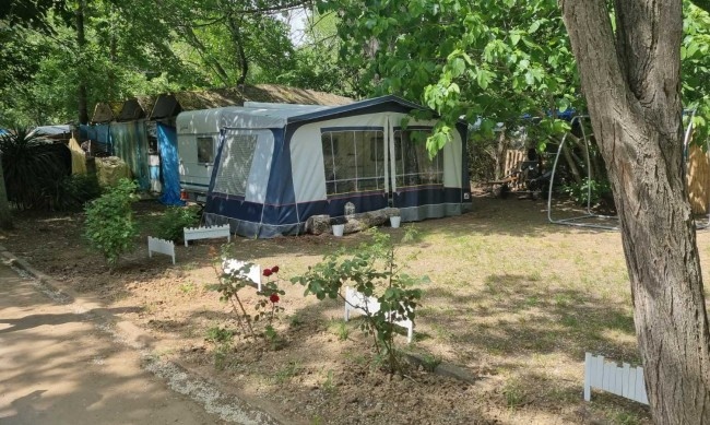 За година в България се откриват между 10 и 15