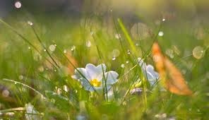 Температурите днес ще останат почти без промяна минималните от около