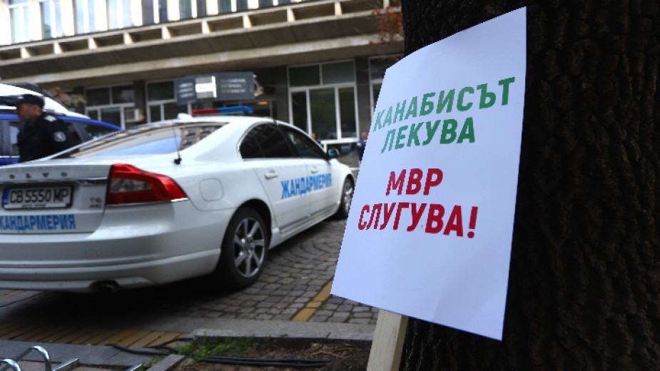 Шествие в подкрепа на легалната употребата на канабис се проведе