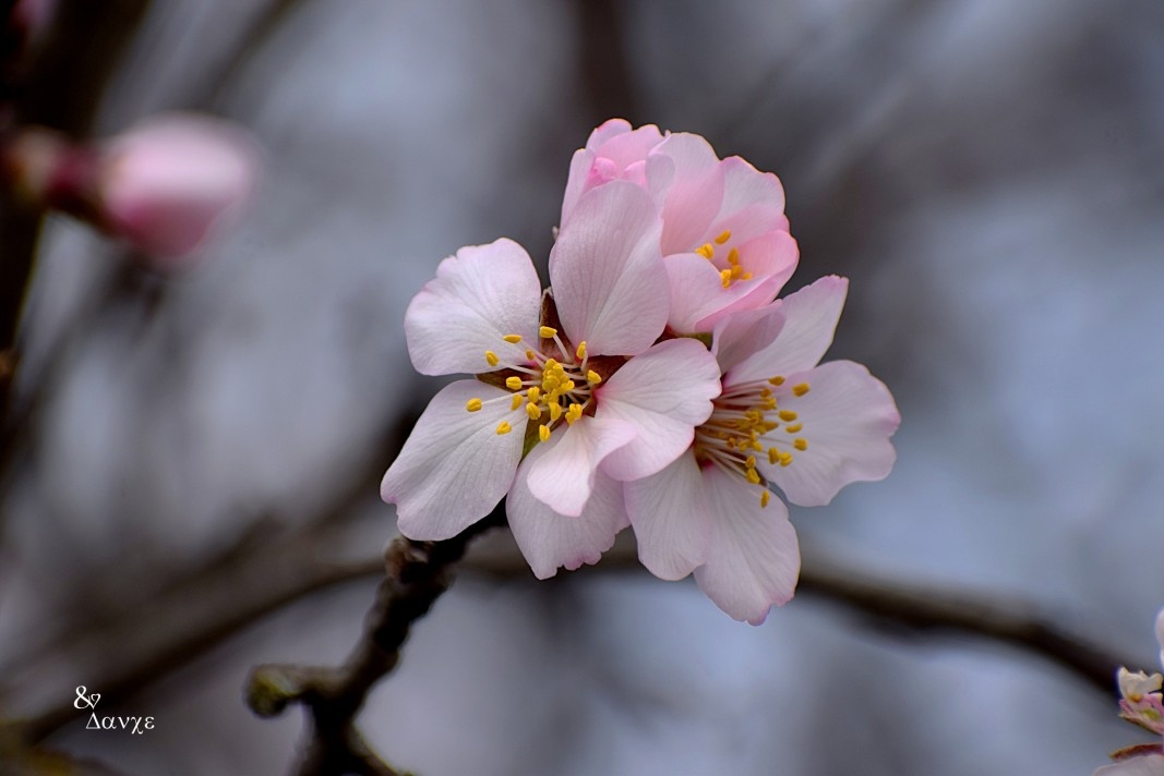 През нощта на места все още ще превалява главно в