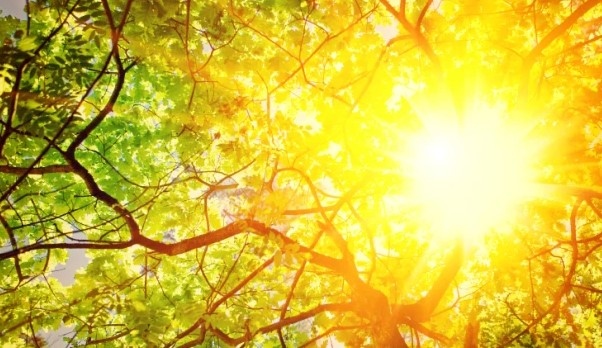 Днес ще бъде предимно слънчево След обяд главно над планинските