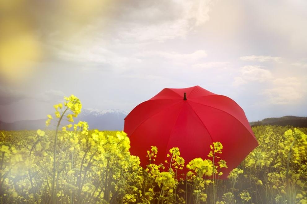 През първите дни на първото десетдневие май месец се очаква