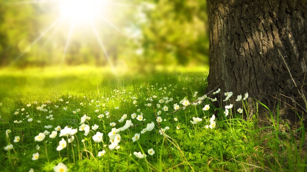 През нощта ще бъде предимно ясно със слаб североизточен вятър Утре