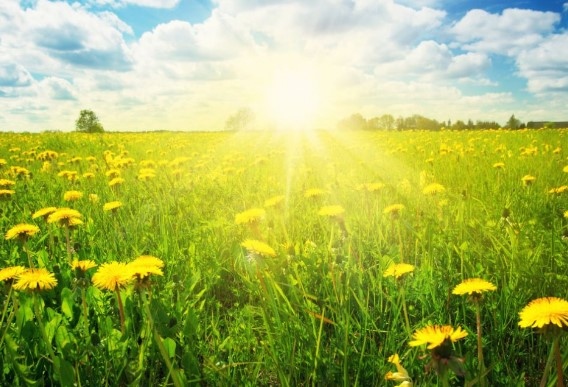 Днес над Западна България ще бъде слънчево Над източните райони