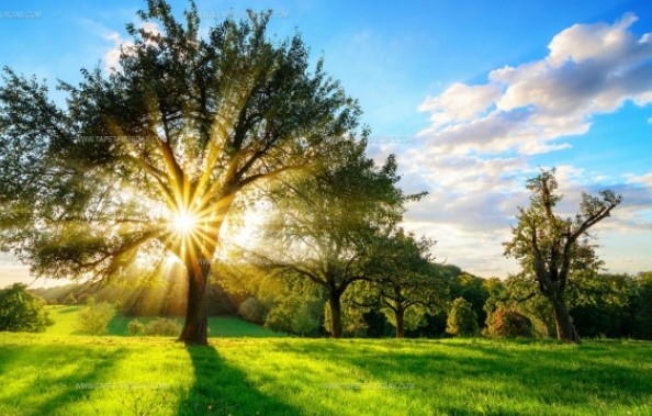 Днес над страната ще преобладава слънчево време Преди обяд на