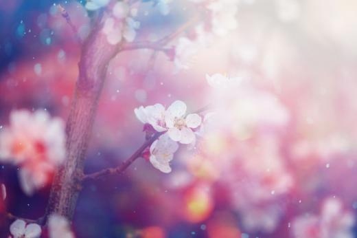 Днес ще бъде предимно слънчево с разкъсана висока облачност предаде