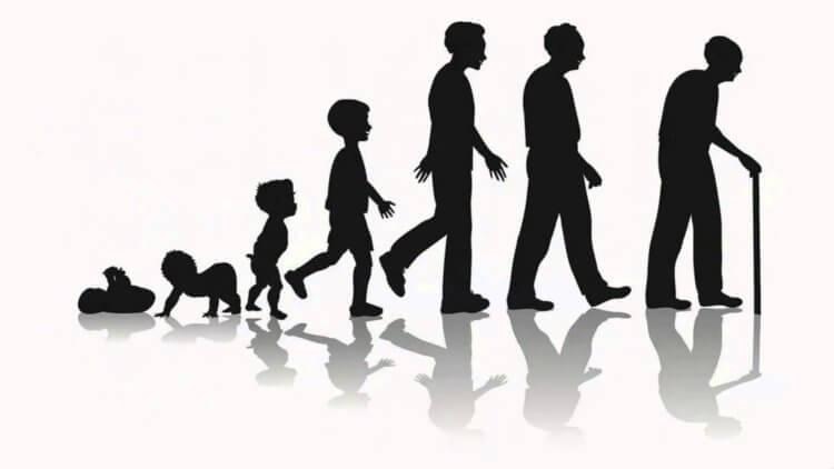 Средната очаквана продължителност на живота в Европа е 81 5 години