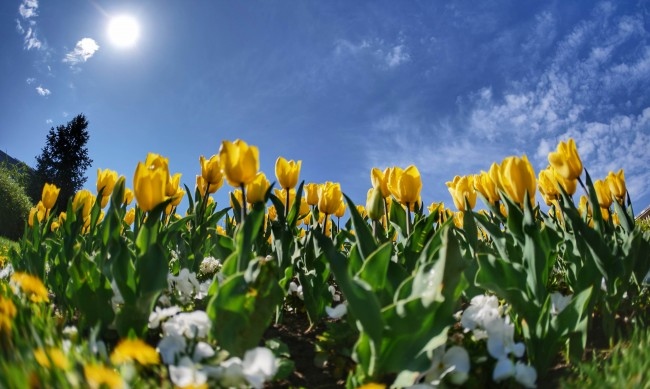 През нощта ще бъде предимно ясно ще духа слаб южен