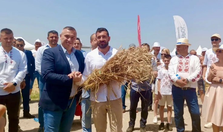 Над 6 млн тона е очакваната реколта от пшеница за