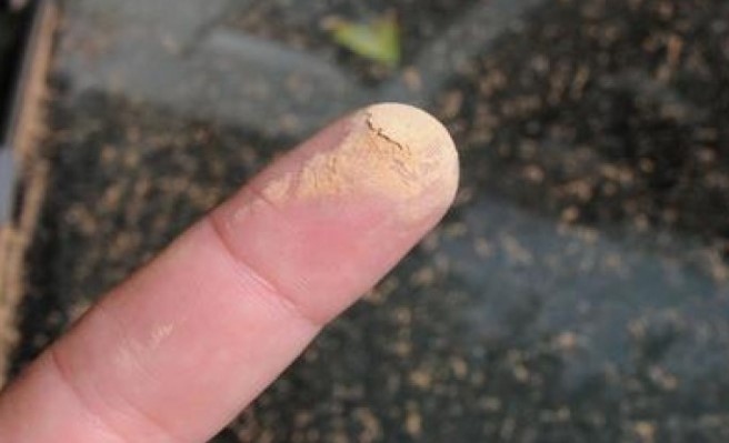 Във връзка с навлизащи в България горещи въздушни маси наситени