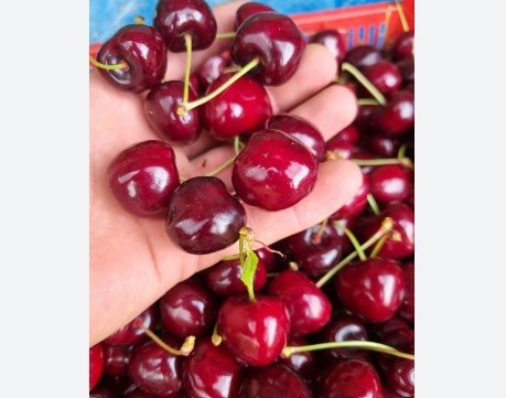 Много хора цяла година чакат този момент когато отново