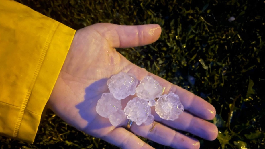 Българският фермерски съюз иска създаването на гаранционен фонд за щети