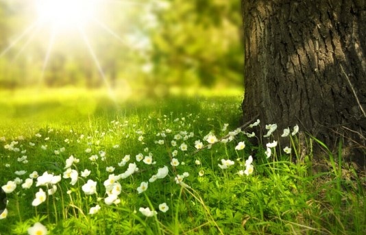 Днес ще бъде предимно слънчево След обяд главно над източните
