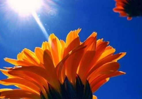 Днес ще бъде слънчево след обяд над планините и планинските