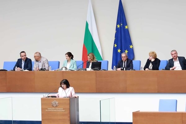 Седем заместници ще има в парламента новата му шефка Рая Назарян от