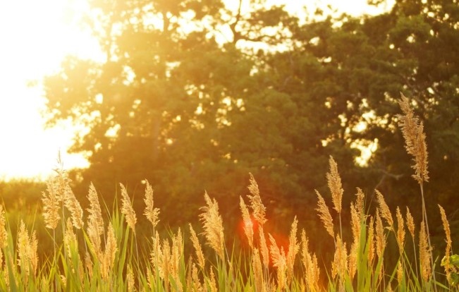 Днес ще е предимно слънчево Около и след обяд главно