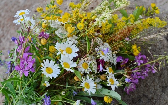 На 24 юни българският народ празнува Еньовден – празникът на