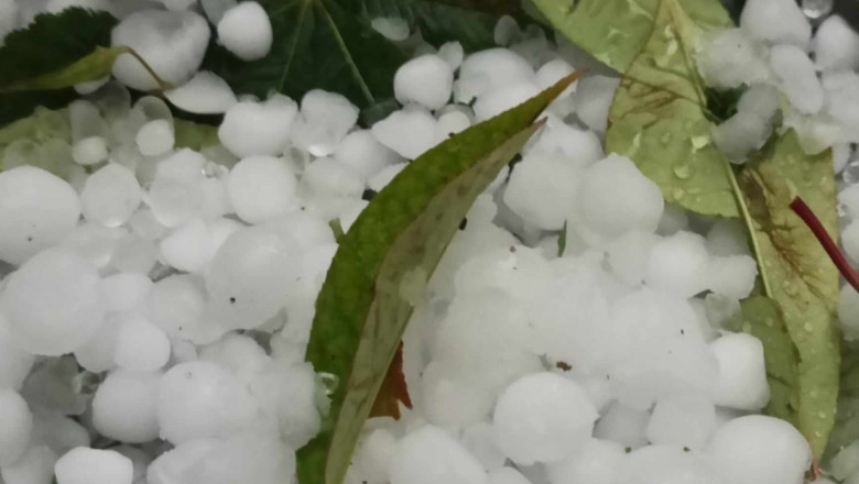 Служебният министър на земеделието Георги Тахов направи оглед на щетите