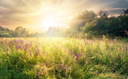 Днес ще бъде слънчево В следобедните часове над източната половина
