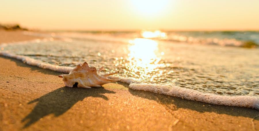 Седмицата започва със слънчево време Жълт код за високи температури