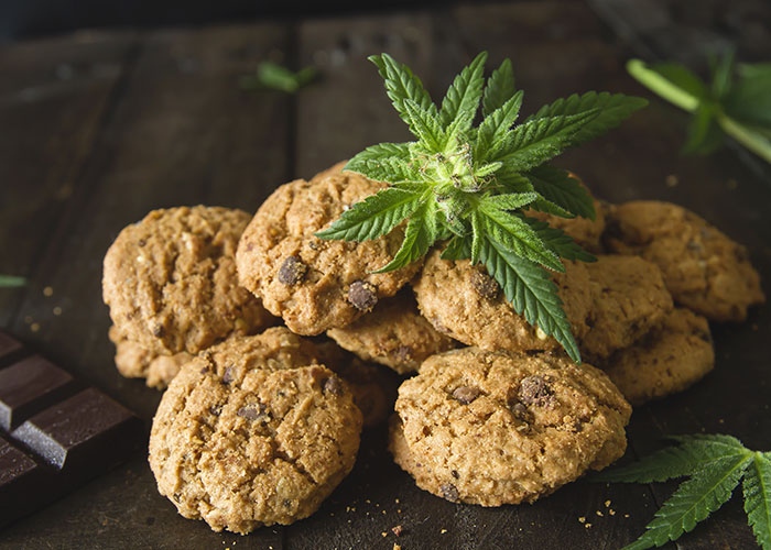 Кутията с бисквити с канабис от която са яли и
