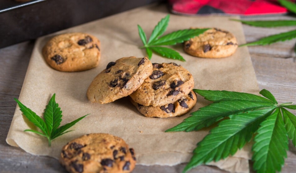 Районна прокуратура Плевен разследва сигнал за деца постъпили в УМБАЛ Др Георги