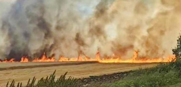 Европейската комисия съобщи че ЕС изпраща помощ за борба с