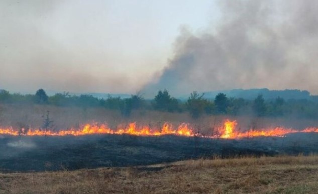 В страната са потушени 269 пожара само за последните 24