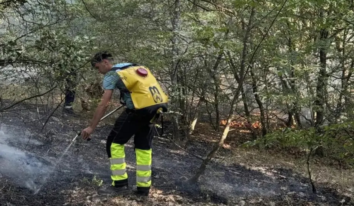 След призива на премиера Димитър Главчев земеделски производители от Български