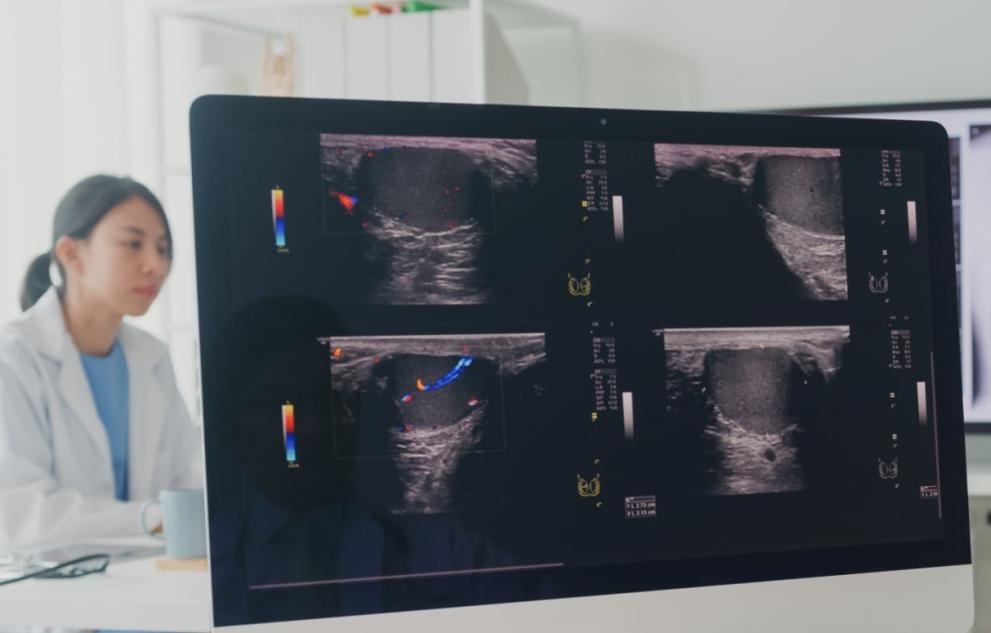 Китайски екип е разработил първия в страната универсален модел на