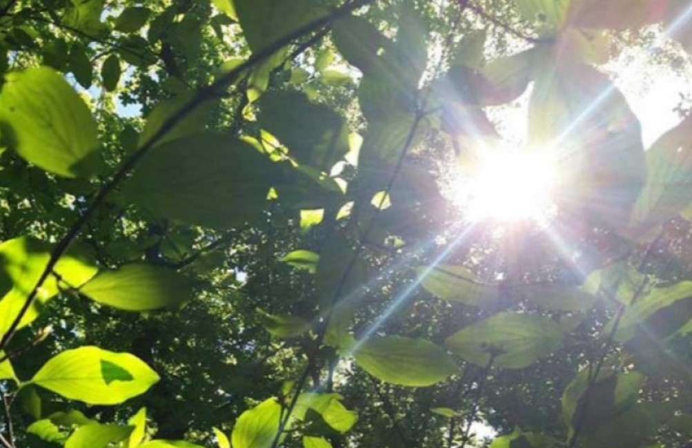 Днес ще бъде предимно слънчево След обяд ще се развива