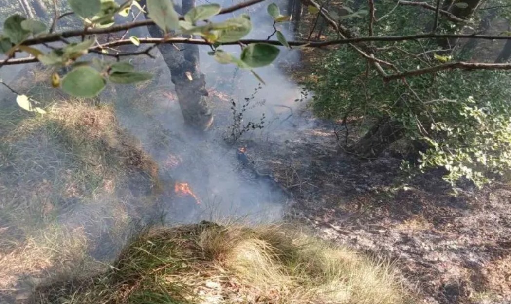 Ситуацията с пожара в местността Беклемето край Кърнаре е изключително