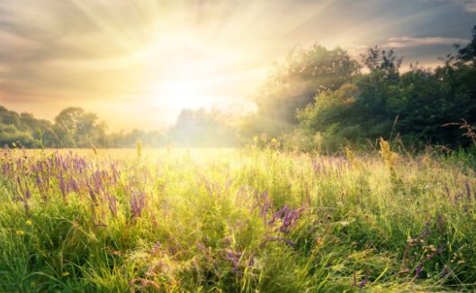 Днес от запад на изток през страната ще преминава студен