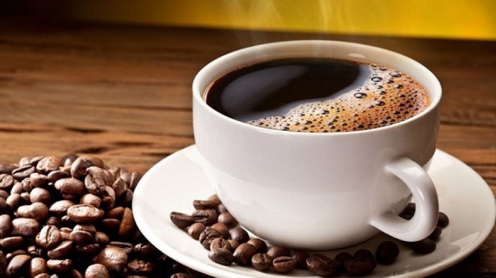 През 2023 Европйският съюз въведе правила за обезлесяване които днес