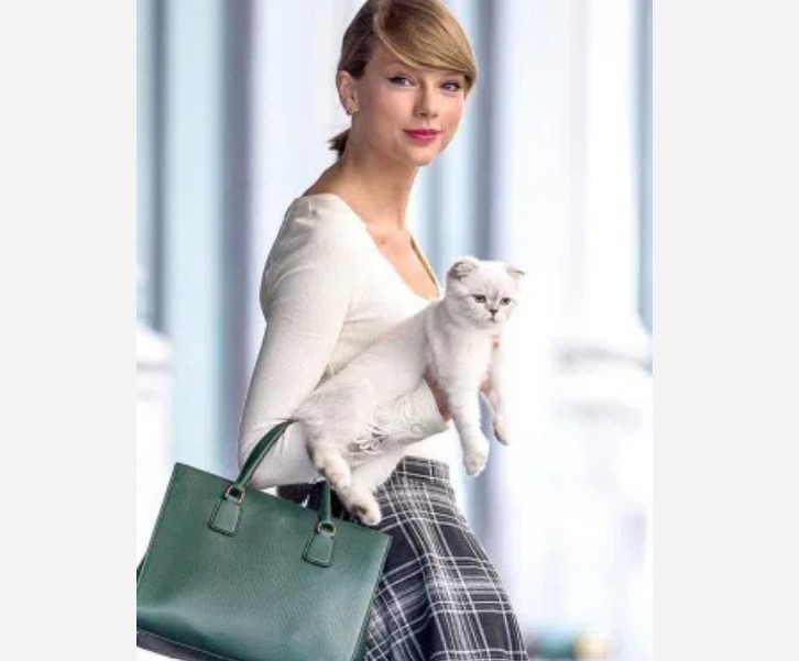 Тейлър Суифт и Травис Келс са една от най обсъжданите двойки