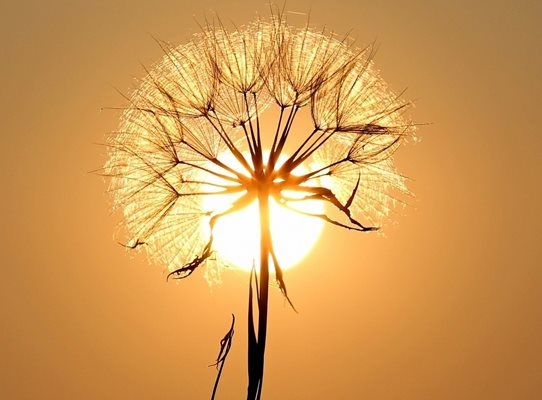 Земята бе засегната от интензивна геомагнитна буря която може да