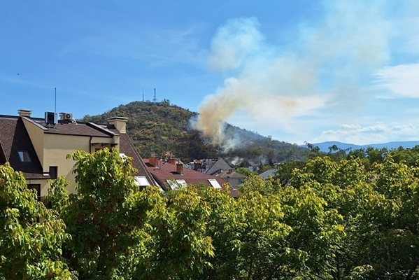 Пожар гори в момента на Младежкия хълм в Пловдив За
