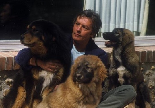 Ден след смъртта на Ален почетен масово отвъд пределите на