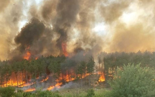 От началото на 2024 година до 26 08 2024 г в страната са