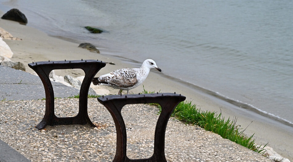 Условията за туризъм в две варненски общини могат да бъдат