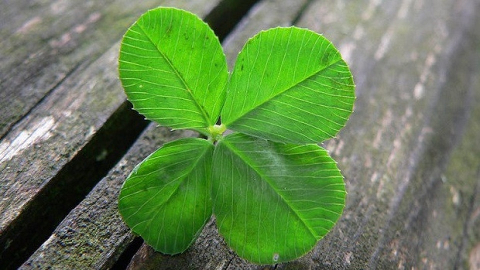 Луната е в знак Скорпион от 08 20ч до 20 27ч на