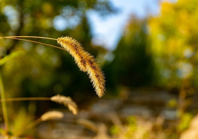 Днес ще бъде предимно слънчево преди обяд все още над