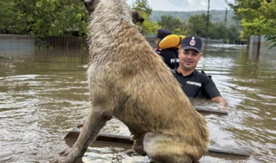 Бурята Борис отне живота на един човек в Полша а